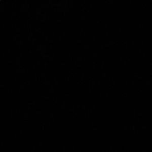 Meet your Posher, Eva